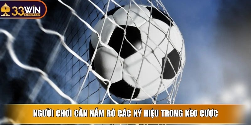 Kèo cơ hội kép là gì? Tips đặt cược mang về hiệu quả cao 3 Người chơi cần nắm rõ các ký hiệu trong kèo cược