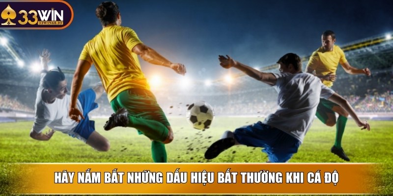 Kèo dụ là gì - Bí quyết tránh xa cái bẫy hiệu quả tại 33WIN 3 Hãy nắm bắt những dấu hiệu bất thường khi cá độ